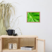 Peaceful Greenery Botanical Nature Photo Framed Wall Art Print
