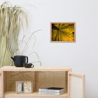 Seasons Change Botanical Nature Photo Framed Wall Art Print