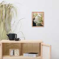 Succulent 4 Botanical Nature Photo Framed Wall Art Print