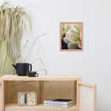 Succulent 4 Botanical Nature Photo Framed Wall Art Print