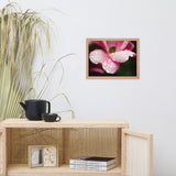 Raindrops on Wild Rose Color Floral Nature Photo Framed Wall Art Print