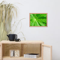 Peaceful Greenery Botanical Nature Photo Framed Wall Art Print