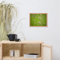 Softened Fields Botanical Nature Photo Framed Wall Art Print