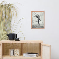 Rotting Away Alone Black and White Botanical Nature Photo Framed Wall Art Print