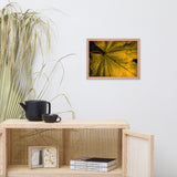 Seasons Change Botanical Nature Photo Framed Wall Art Print