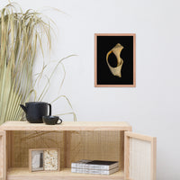States of Erosion Image 2 Whelk Shell Coastal Nature Photo Framed Wall Art Print