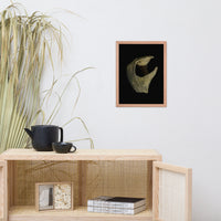 States of Erosion Image 5 Whelk Shell Coastal Nature Photo Framed Wall Art Print
