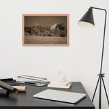 Abandoned Barn In The Trees Sepia Framed Photo Paper Wall Art Prints