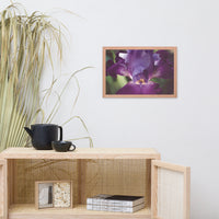 Glowing Iris Moody Midnight Floral Nature Photo Framed Wall Art Print