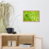Fern Curl Botanical Nature Photo Framed Wall Art Print