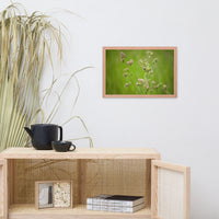 Softened Fields Botanical Nature Photo Framed Wall Art Print