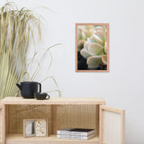 Succulent 4 Botanical Nature Photo Framed Wall Art Print