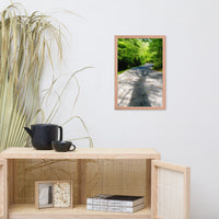 Summer Shadows Botanical Nature Photo Framed Wall Art Print