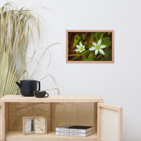 Wild Beauty Floral Nature Photo Framed Wall Art Print