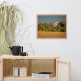 Abandoned Barn In The Trees Framed Photo Paper Wall Art Prints