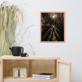 Historic New Castle Urban Landscape Photo Framed Wall Art Print