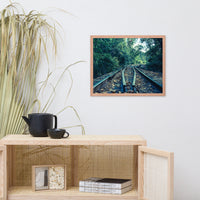 Lead Me into the Light - Colorized Framed Photo Paper Wall Art Prints