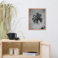 Palm Over Water Black and White Botanical Nature Photo Framed Wall Art Print