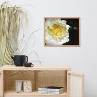 Glowing Rose 2 Floral Nature Photo Framed Wall Art Print