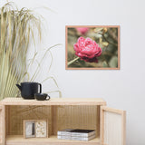 Perfect Petals Colorized Floral Nature Photo Framed Wall Art Print