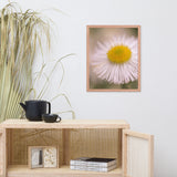 Philadelphia Fleabane Single Bloom Floral Nature Photo Framed Wall Art Print