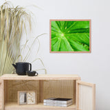 Peaceful Greenery Botanical Nature Photo Framed Wall Art Print