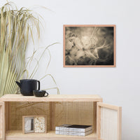 Sepia Aged Rhododendron Blooms Floral Nature Photo Framed Wall Art Print