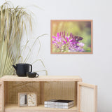 Spider Flower in Glory Light With Spotted Moth Floral Nature Photo Framed Wall Art Print