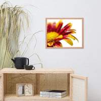 Water Droplets On Mum Petals Floral Nature Photo Framed Wall Art Print