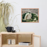 Seaweed and Shells Coastal Nature Photo Framed Wall Art Print