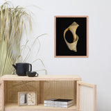 States of Erosion Image 2 Whelk Shell Coastal Nature Photo Framed Wall Art Print