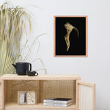 States of Erosion Image 4 Whelk Shell Coastal Nature Photo Framed Wall Art Print