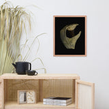 States of Erosion Image 5 Whelk Shell Coastal Nature Photo Framed Wall Art Print