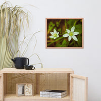 Wild Beauty Floral Nature Photo Framed Wall Art Print