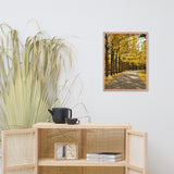 Fall Path Nature Landscape Framed Photo Paper Wall Art Prints