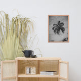 Palm Over Water Black and White Botanical Nature Photo Framed Wall Art Print