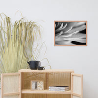 Droplets on Petals Black and White Floral Nature Photo Framed Wall Art Print