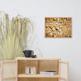 Broken Seashells and Sand Coastal Nature Photo Framed Wall Art Print