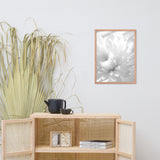 Infrared Flower Black and White Floral Nature Photo Framed Wall Art Print