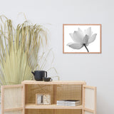 Lotus Flower Black and White Floral Nature Photo Framed Photo Paper Poster