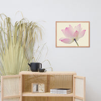 Lotus Flower Creamy Haze Effect Floral Nature Photo Framed Photo Paper Poster