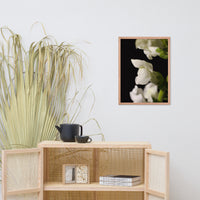 Single Snapdragon Bloom Floral Nature Photo Framed Wall Art Print