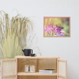 Spider Flower in Glory Light With Spotted Moth Floral Nature Photo Framed Wall Art Print