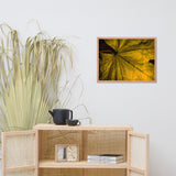 Seasons Change Botanical Nature Photo Framed Wall Art Print