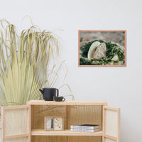 Seaweed and Shells Coastal Nature Photo Framed Wall Art Print