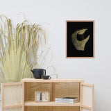 States of Erosion Image 5 Whelk Shell Coastal Nature Photo Framed Wall Art Print