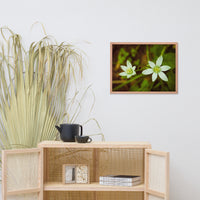 Wild Beauty Floral Nature Photo Framed Wall Art Print