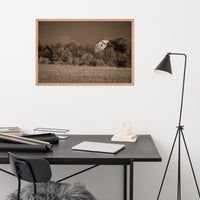 Abandoned Barn In The Trees Sepia Framed Photo Paper Wall Art Prints