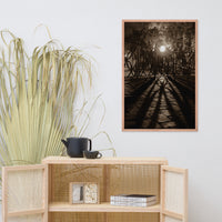 Historic New Castle Urban Landscape Photo Framed Wall Art Print