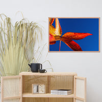Fall Colors Botanical Nature Photo Framed Wall Art Print